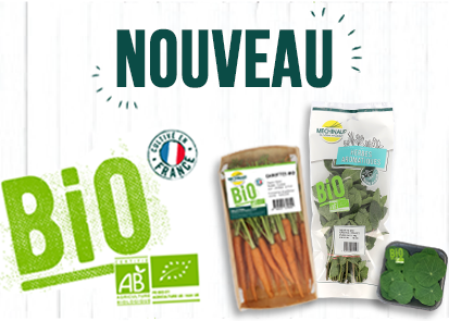 Lancement de la gamme BIO pour les herbes aromatiques, mini légumes et fleurs comestibles Mechinaud