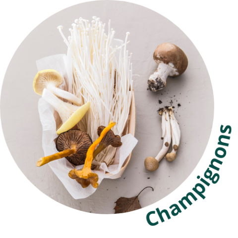 Champignons frais Mechinaud Nantes grossiste négoce