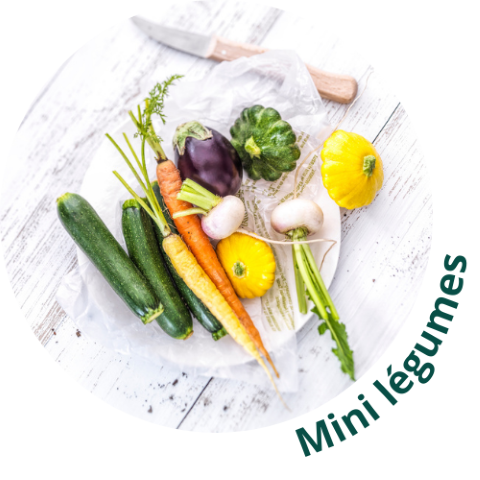 Mini légumes frais Mechinaud Nantes conditionnement