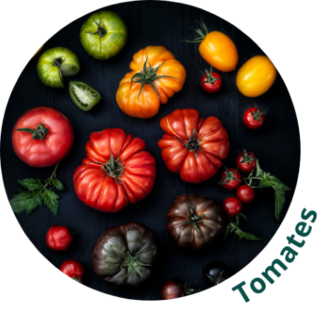Tomates frais Mechinaud Nantes grossiste négoce